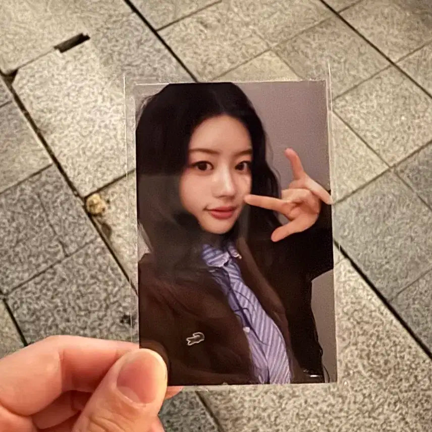 아일릿 ILLIT 민주 빌려온 고양이 공방포카