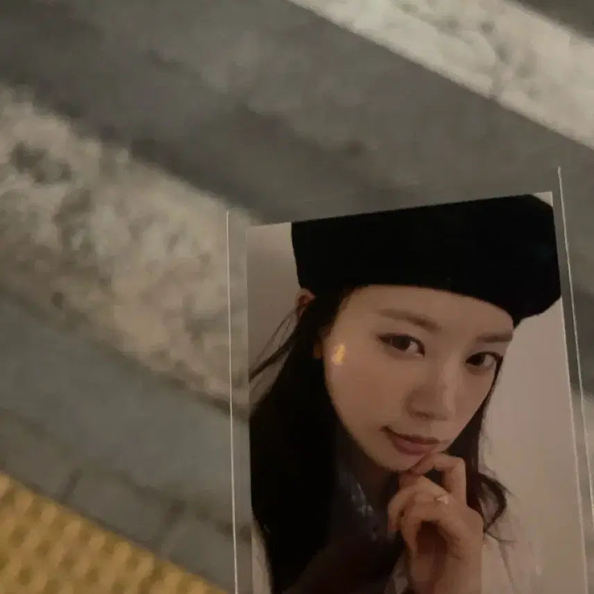 아일릿 공방포카 빌려온 고양이 모카