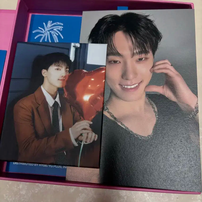 세븐틴 스필더필스 캐럿반 디노 이찬 디노 포카 디노 앨범 디노 위버스