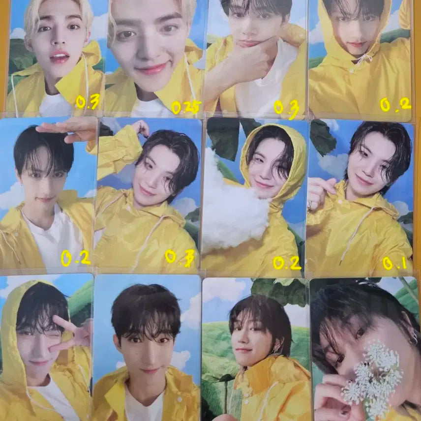 세븐틴 헤븐 캐럿반 포카 양도 에스쿱스 준 우지 도겸 디에잇