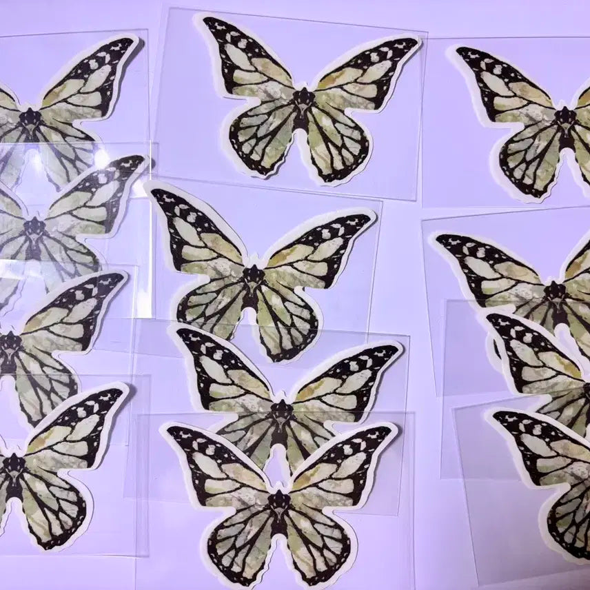 홉온스 나비컨페티 1+1