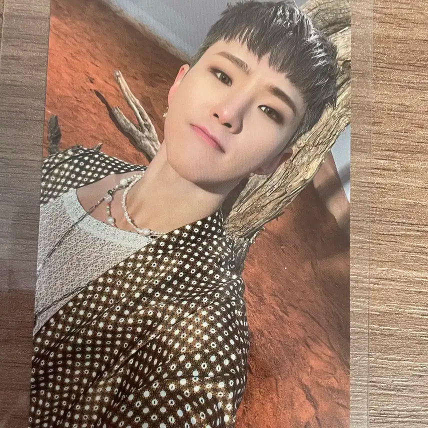 세븐틴 호시 포토카드