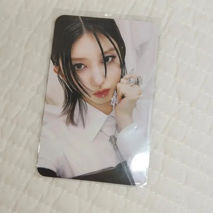 아이브 가을 포카
