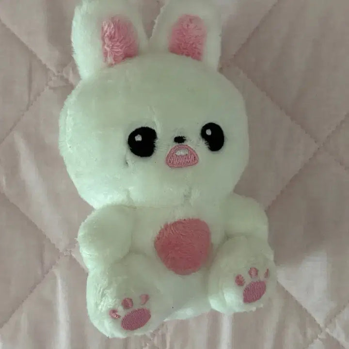 앨포 덤)아이브 장원영 앉니녕 양도