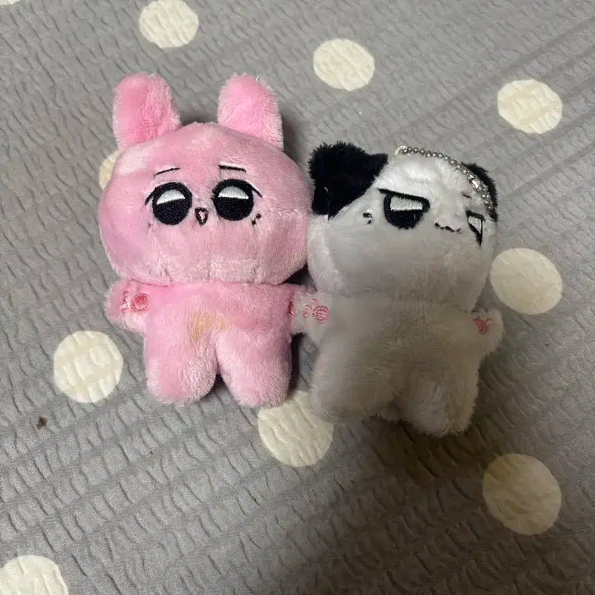 스테이씨 인형 냥이사 배토끼 콩테이씨 특전포함