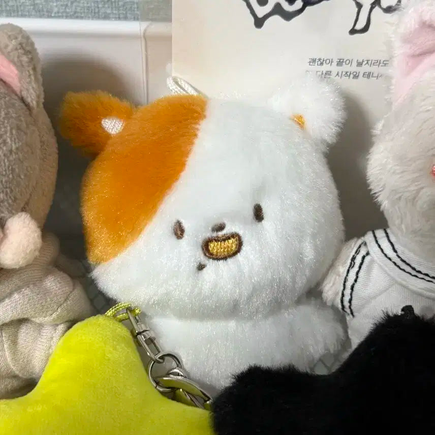 지성 인형 포켓찌 팔아요 엔시티드림 nctdream