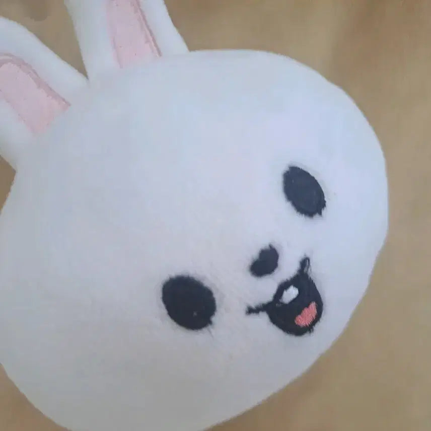 스키즈 스트레이키즈 리빗 스트레스볼 양도 ㅅㅊㅇ 무나