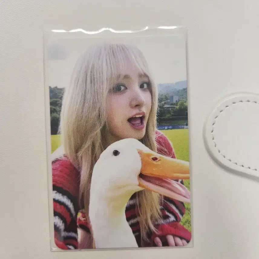 아이브 리즈 마인 사웨럭드