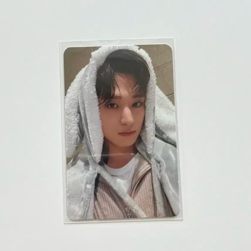 더보이즈 주연 토끼탐요 토담 미공포