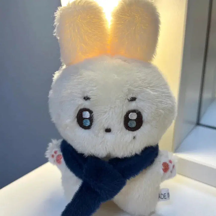 세븐틴 도겸 도토리 인형 팝니다.