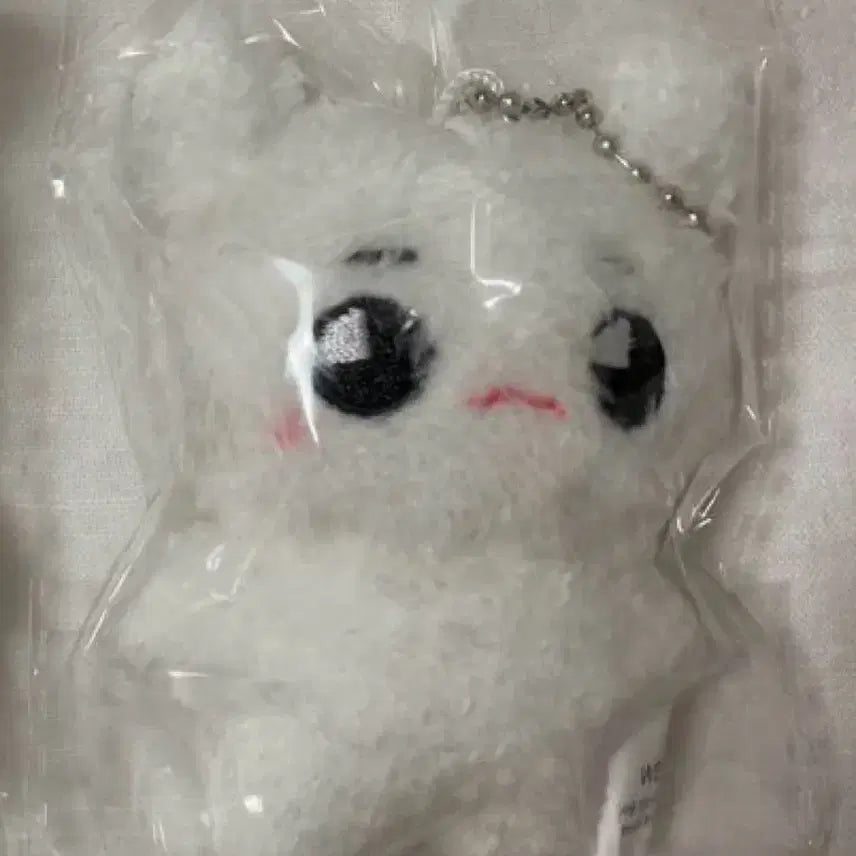 nct127 엔시티 127 태용 이태용 베베툥야 툥야