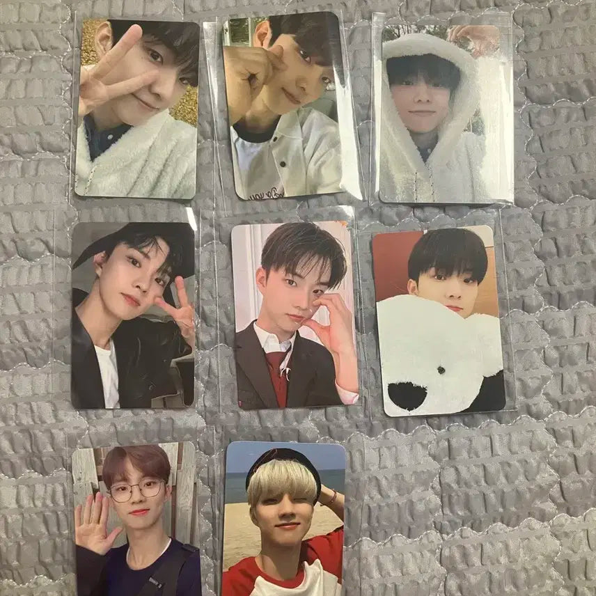 더보이즈 큐 포카 일괄