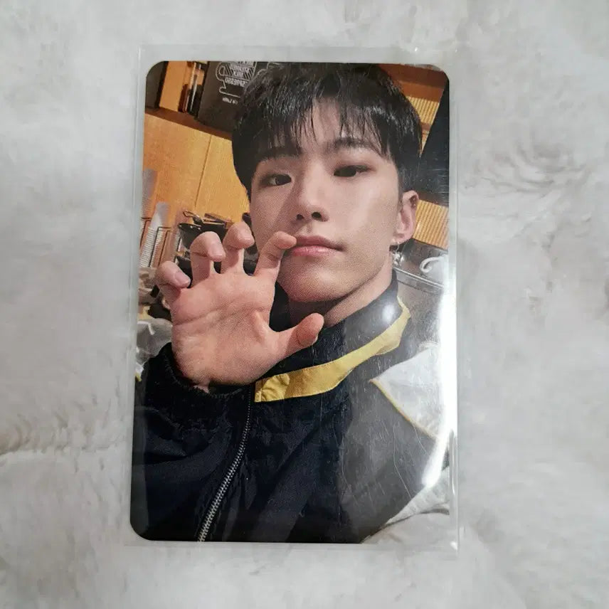 세븐틴 호시 부석순 안드로메다 GV 포카 양도 달려서 안드로메다까지