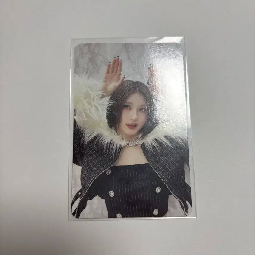 아이브가을포카
