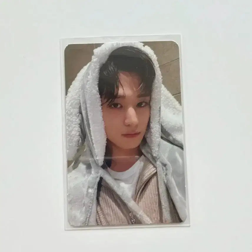 더보이즈 주연 이주연 토끼탐요 토담 미공포 포카 the boyz