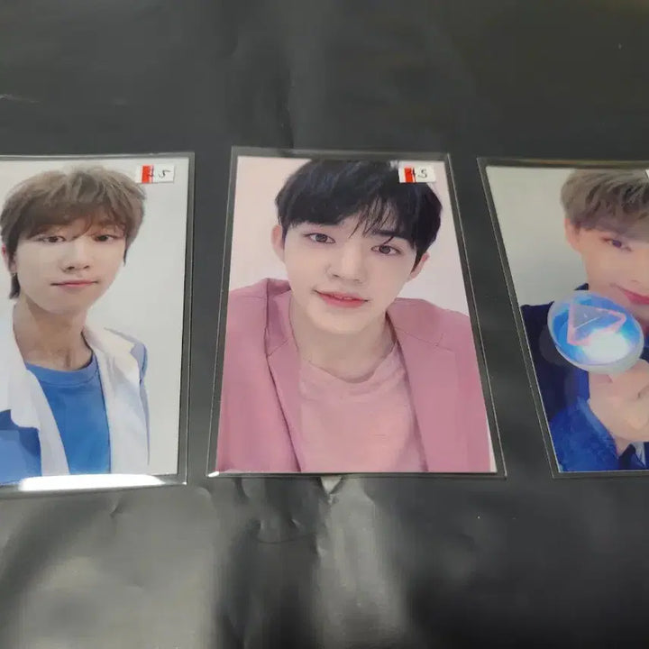 세븐틴 3기 캐럿랜드 캐럿존/ 오드투유 콘서트 캐럿존 포카판매