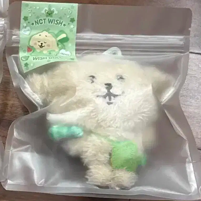 엔시티위시 위시돌 댕트 재희 대영
