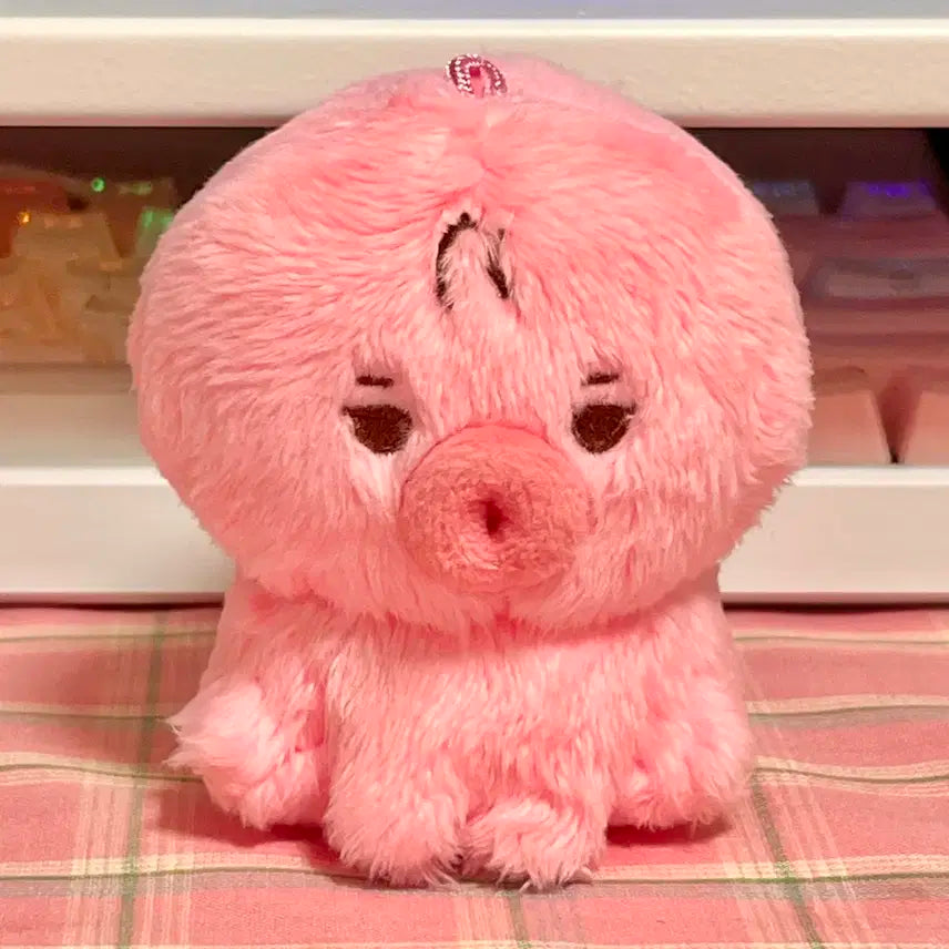 더보이즈 선우 인형 떤코 판매