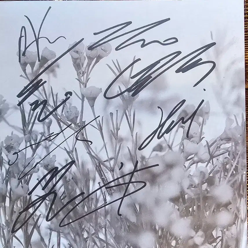 펜타곤 싸인 앨범