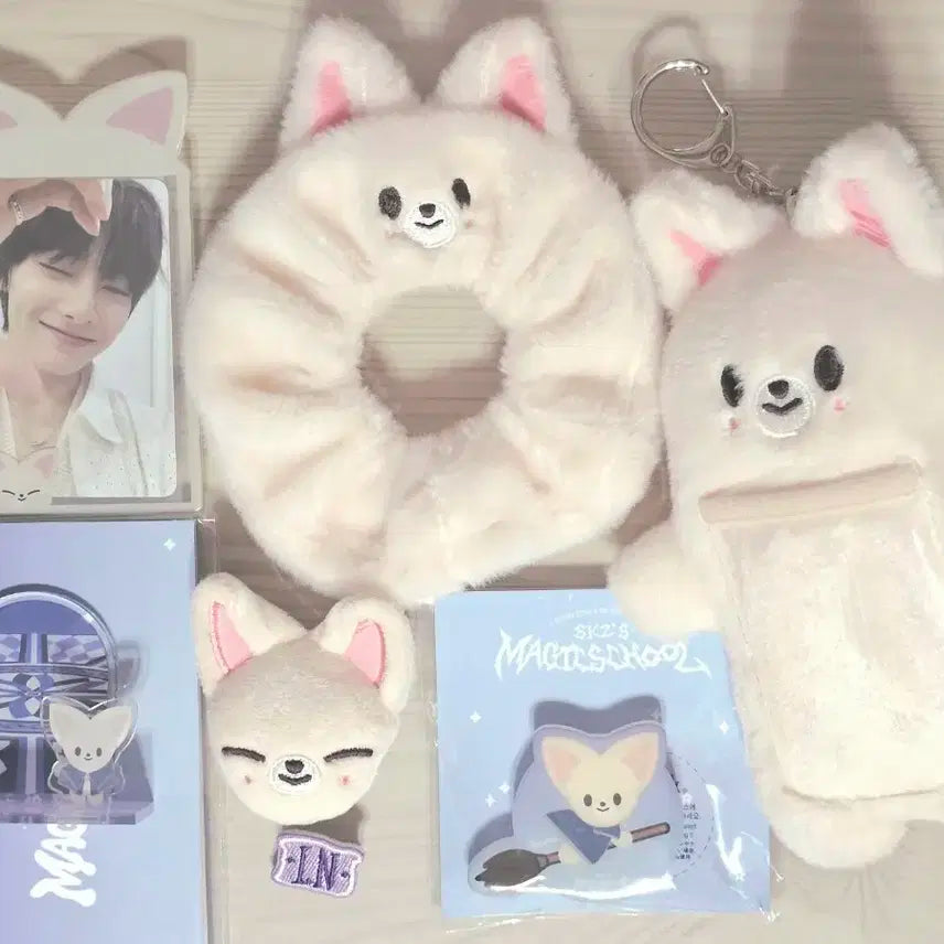 스키즈 스키주 매직스쿨 팝업 엠디 폭시니 일괄