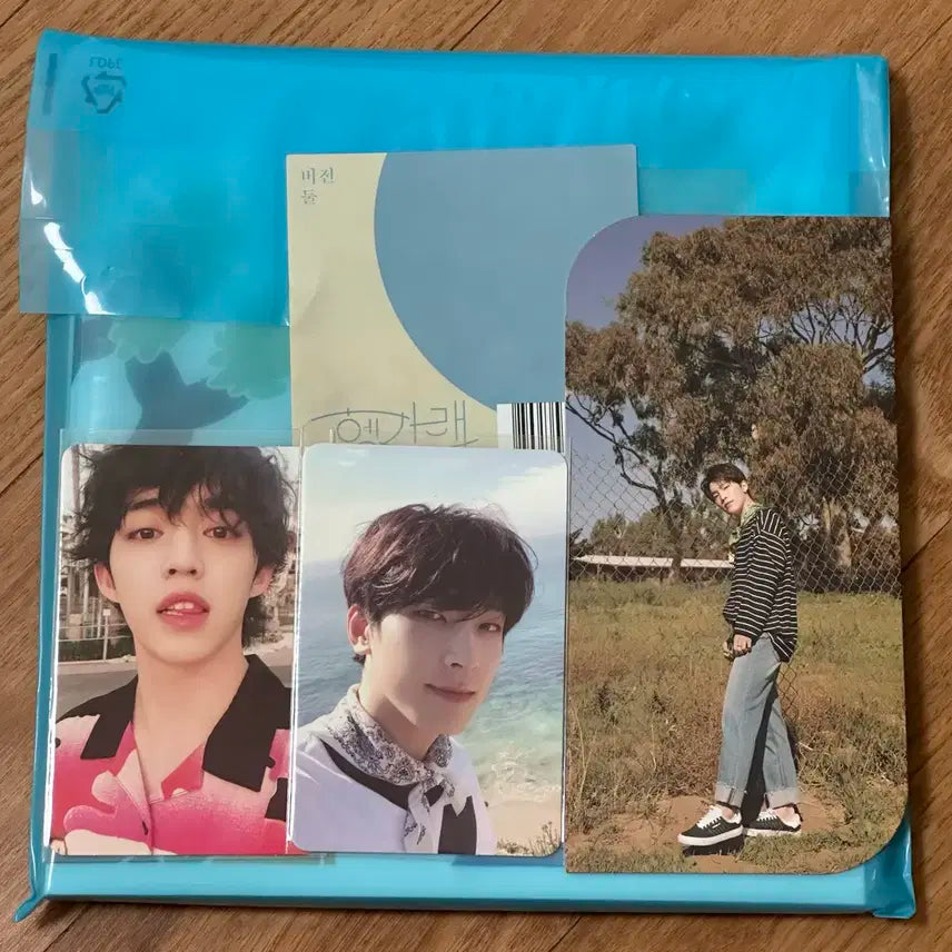 세븐틴 헹가레 버전 둘 에스쿱스 원우