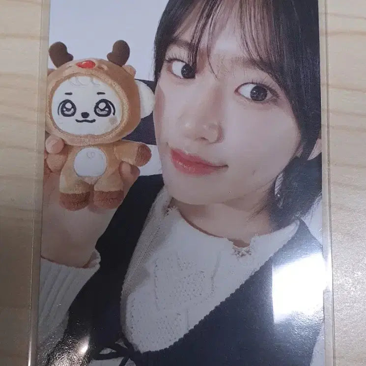 아이브 크리스마스 미니브 강안지 특전 포카 안유진