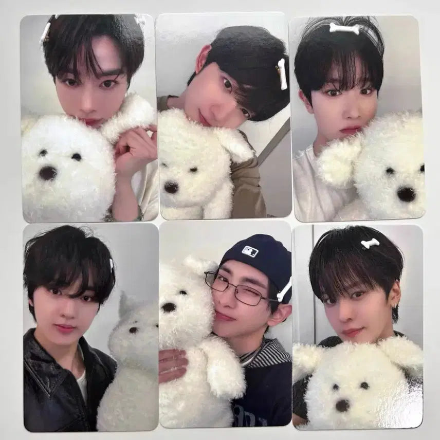 tempest 템페스트 포카 미공포 세트 Hellolive 헬로라이브