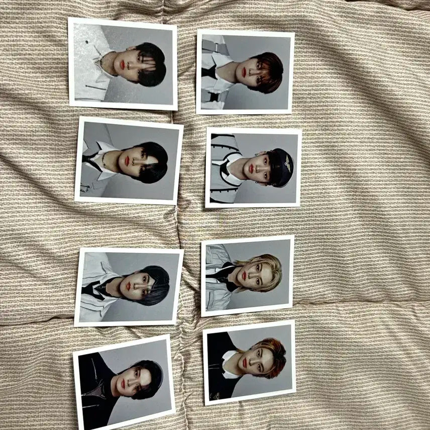 스트레이키즈 팬미 증명사진