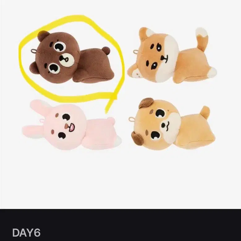 데이식스 데식 선물콘 데니멀즈 핫팩