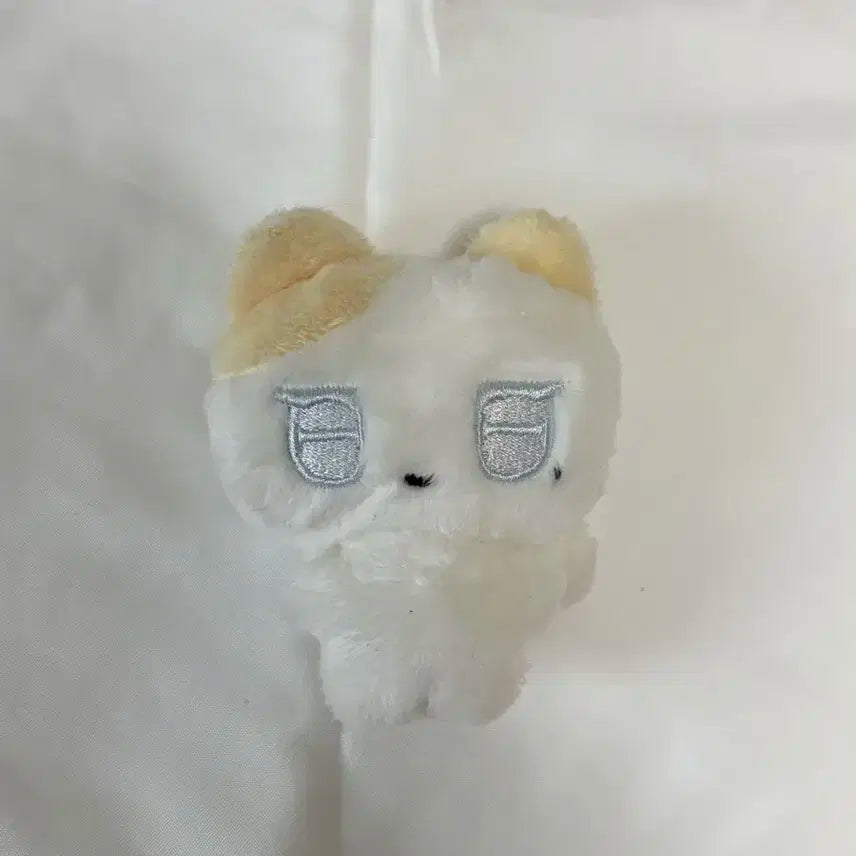 플레이브 노아 누아땅