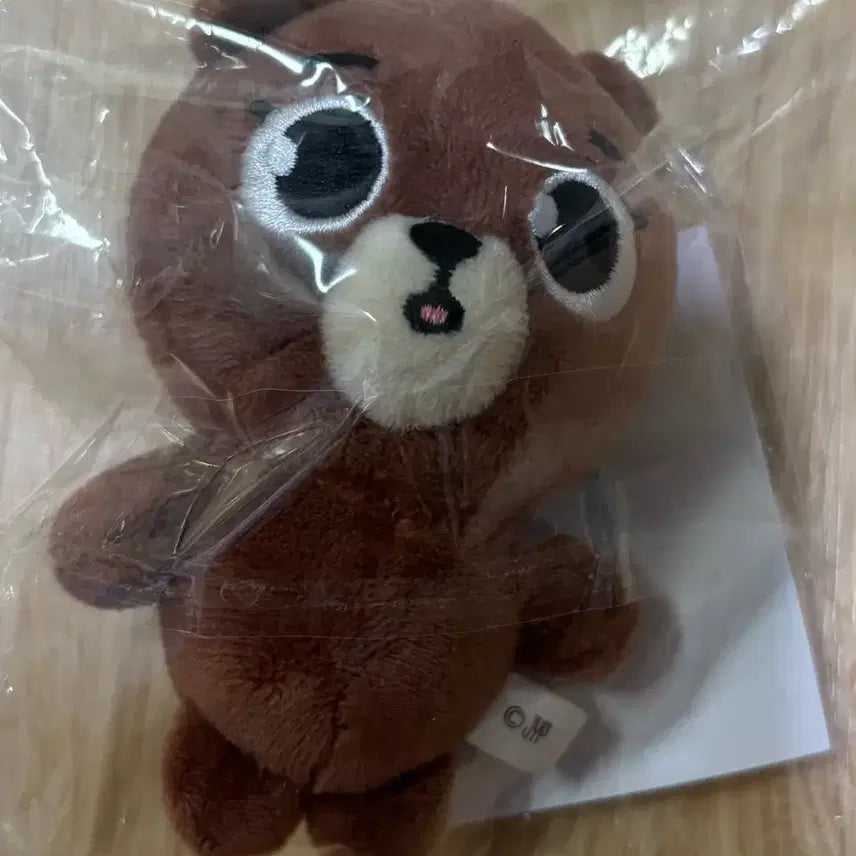 데이식스 일본엠디 데니멀즈 방이 백참 팝니다