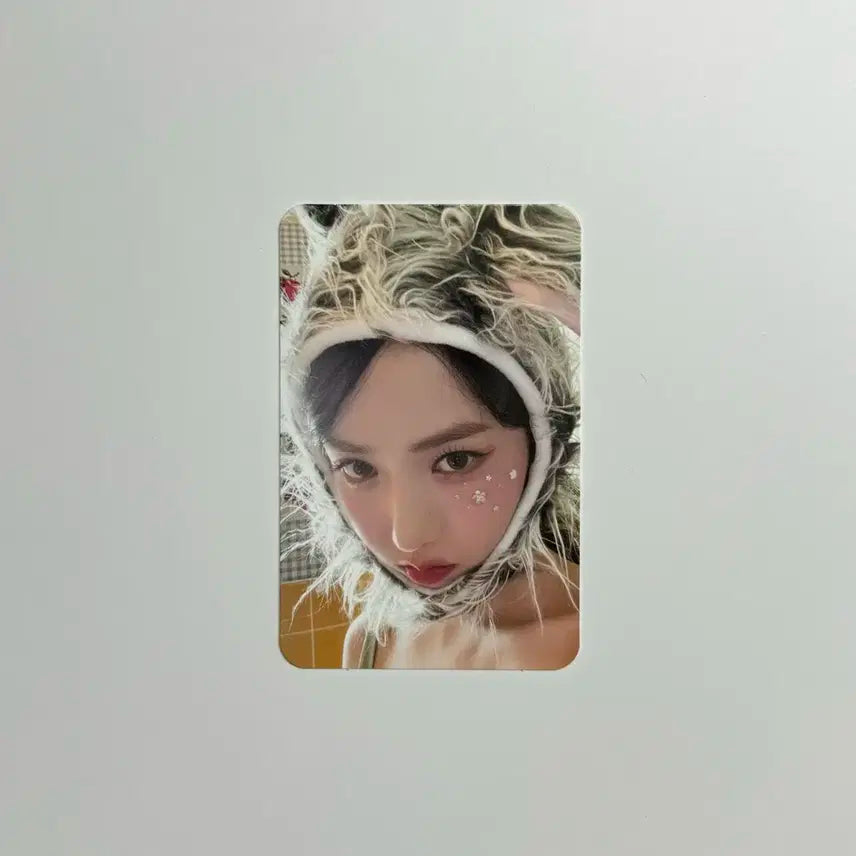 비비지 신비 나비키트 나비2기 포카