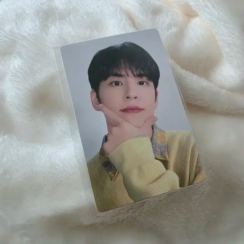 데이식스 일본 포카 원필
