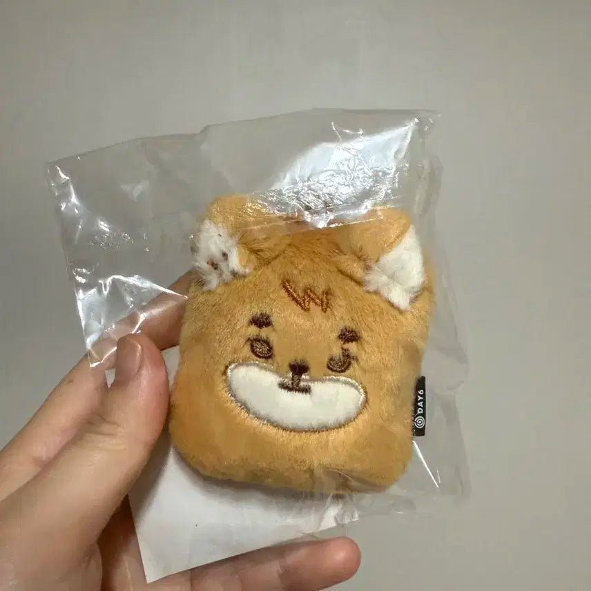 데이식스 쁘띠멀즈 ID홀더 케