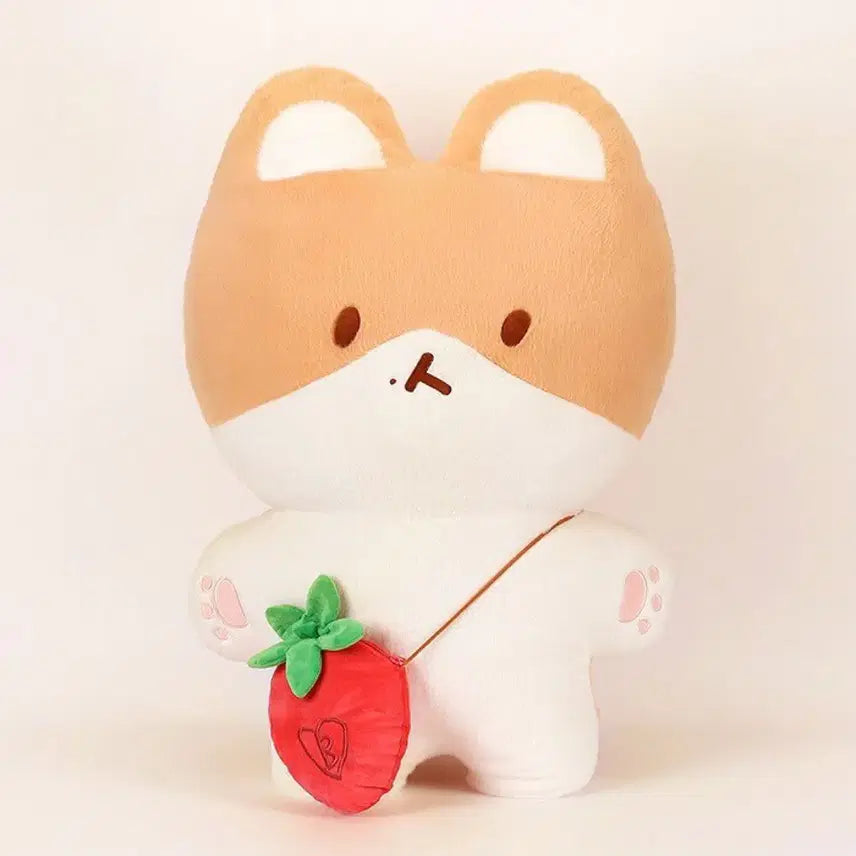 ベッキョン トレギ Baekhyun Teolaegi 80センチぬいぐるみ Amazon.co.jp: ベッキョン トレギ TEOLAEGI ぬいぐるみ 苺