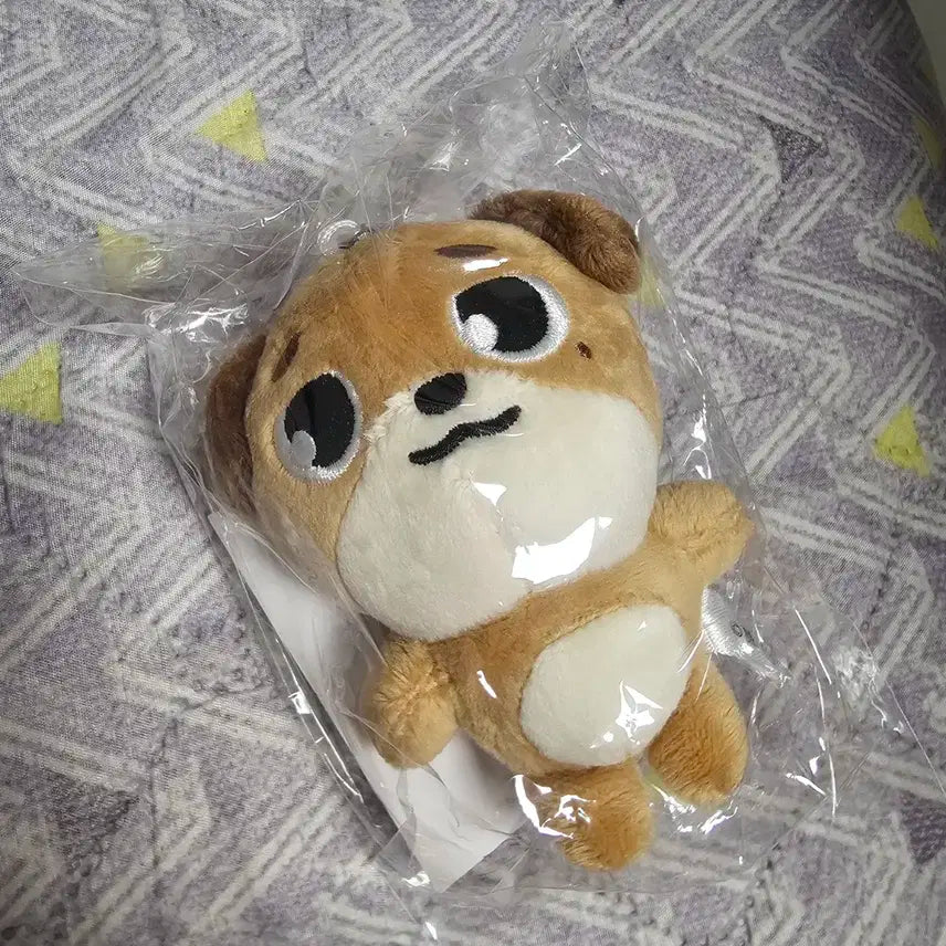 ☆DAY6☆FOREVER YOUNG バッグチャームセット☆ BAG CHARM - BANG / DAY6『3RD WORLD TOUR ＜FOREVER YOUNG