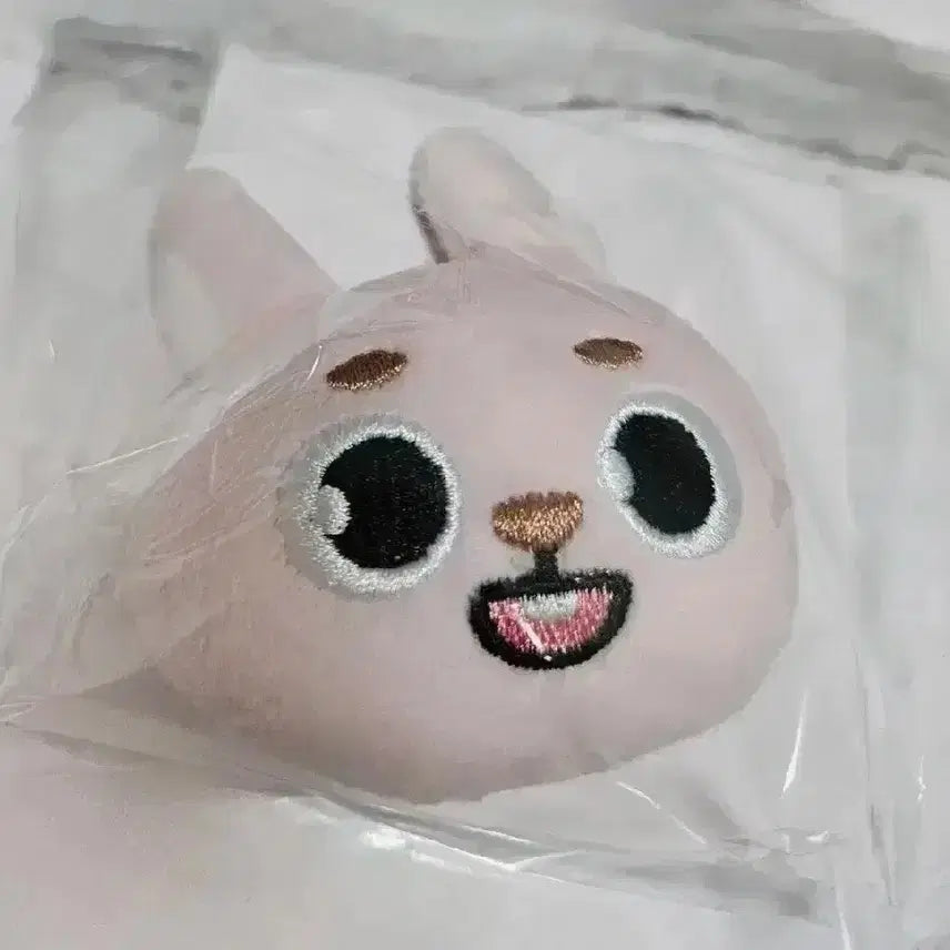 데이식스 데니멀즈 토이뱃지 일본MD 필