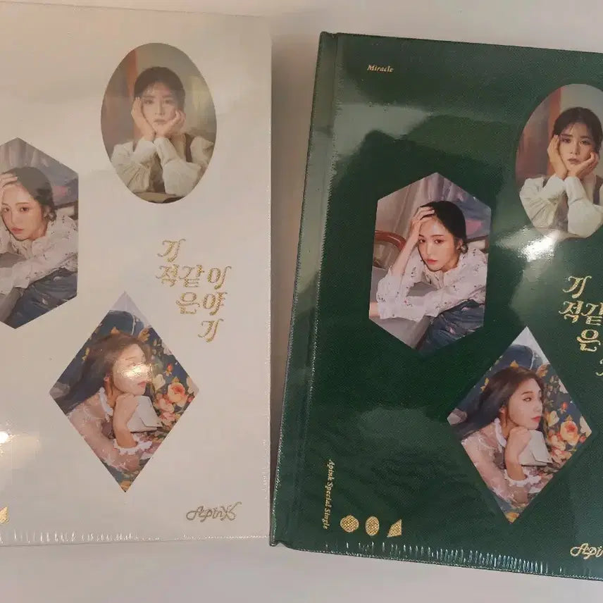 Apink 公式クリアファイルセット　レアグッズ Apink Official clear file holder 13 types set K-pop | eBay
