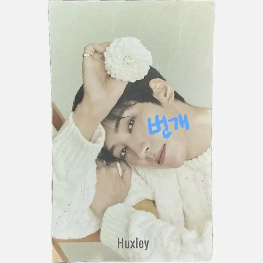 세븐틴 원우 헉슬리 포토카드 (일괄)