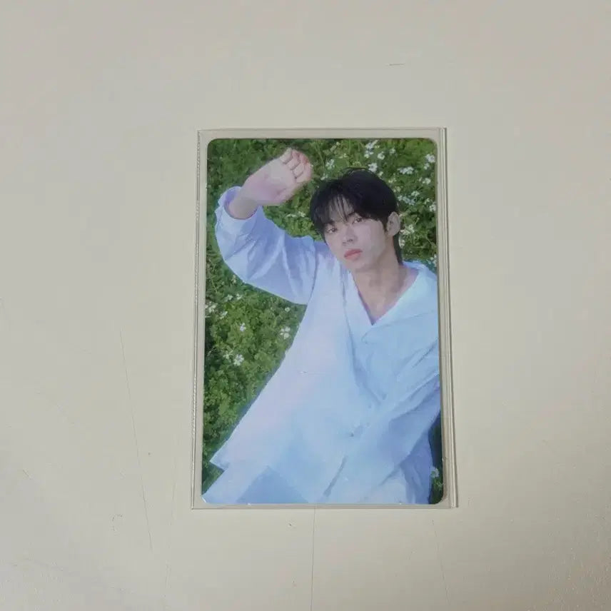 BUNJANG] Tws Dohoon Hajimemashite Weverse pre-order benefit