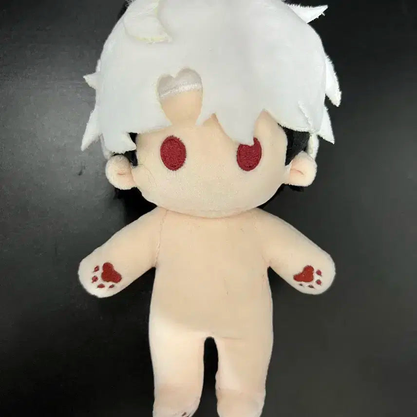 플레이브 콩은호 판매