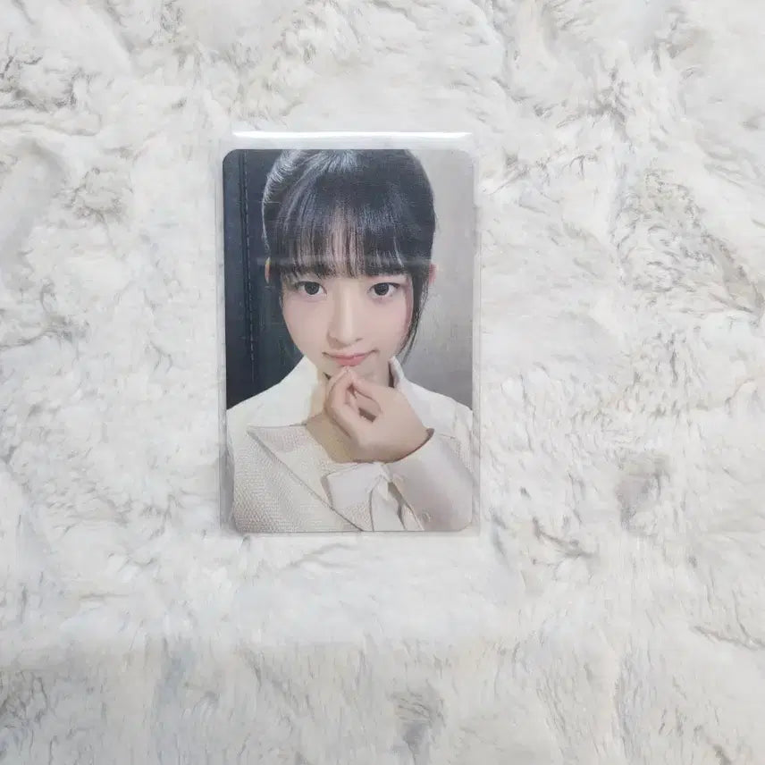 아이브 레이 포카 판매
