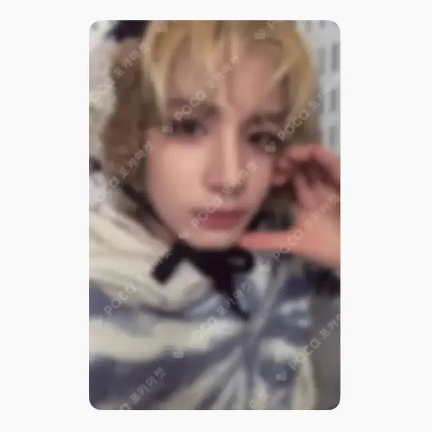 보넥도 이한 노장르 포카 위버스 특전 쁘넥도 성호 리우 명재현 태산 운학