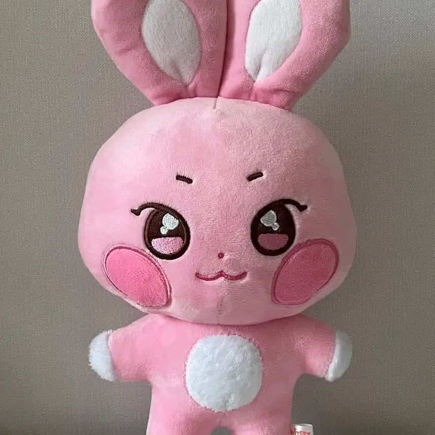 BUNJANG] Ateez seonghwa Ddeongbyeol Plush Doll Aniteez
