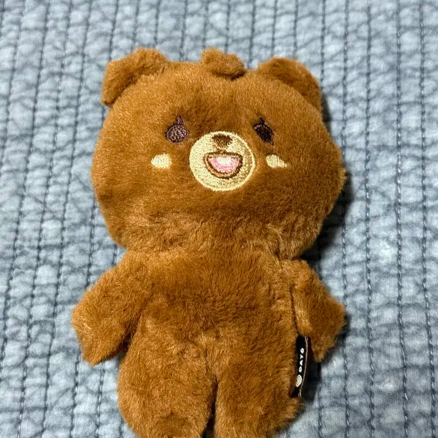 데이식스 쁘띠멀즈 방