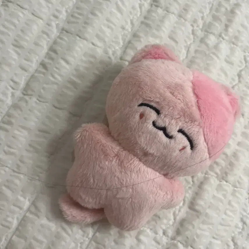 nct127재현 인형