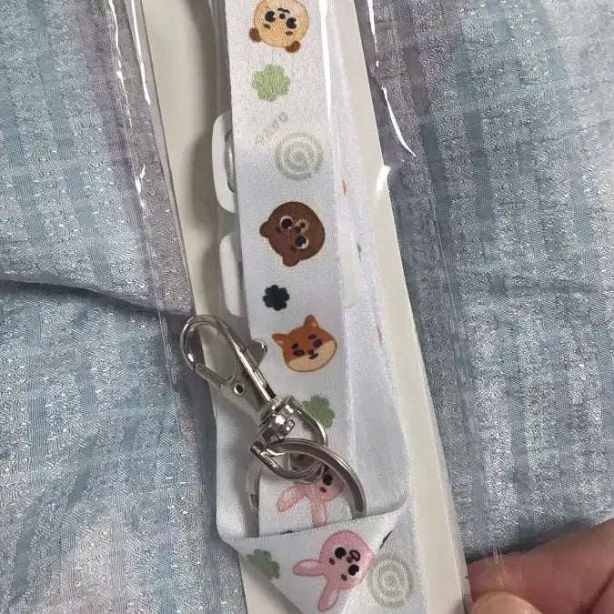 데이식스 일본md 카드목걸이 넥스트랩