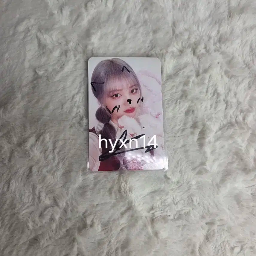 아이브 리즈 러브드 싸포