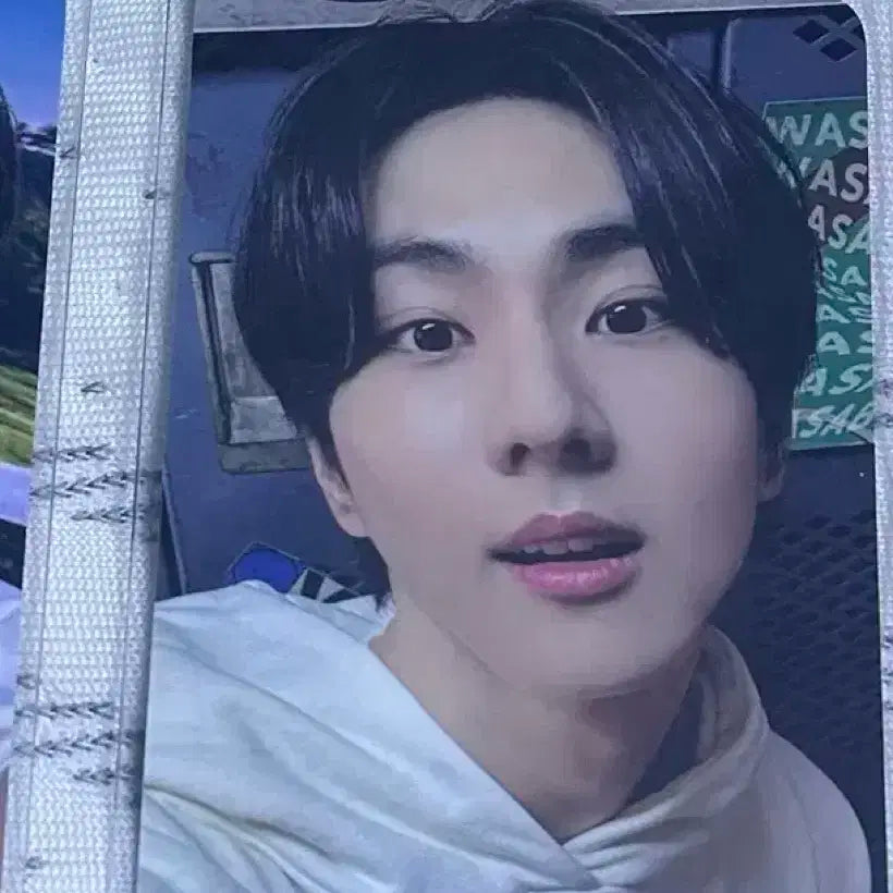 엔하이픈 정원 웤더라인 고양콘포카