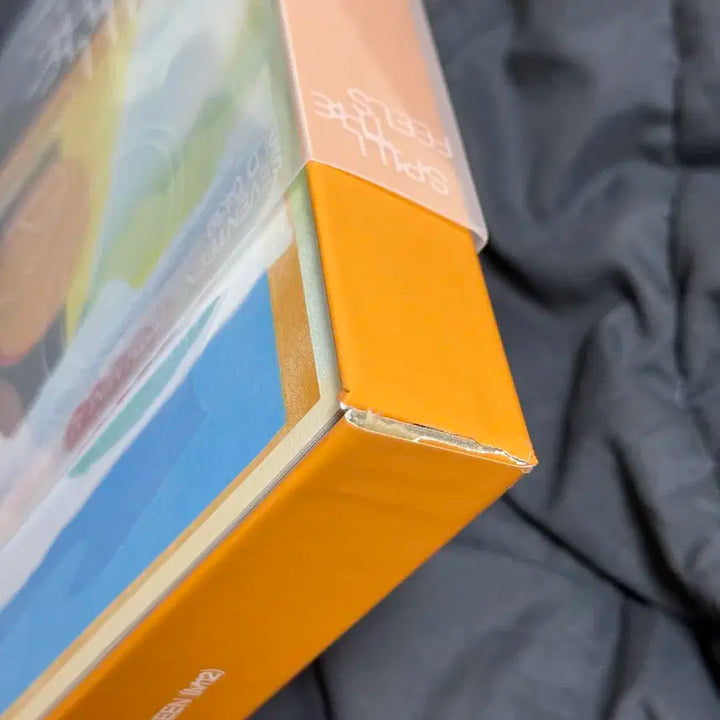 세븐틴 미니 12집 앨범 FEEL YOU Ver.